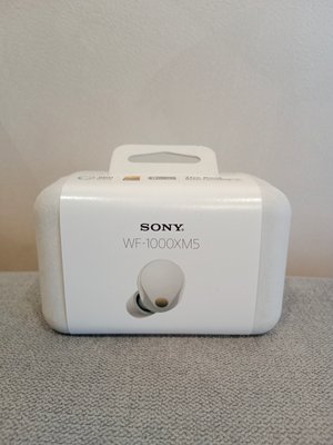 Наушники Sony WF-1000XM5 Silver 1000xm5s фото